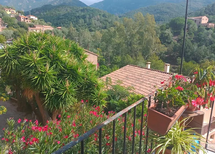 Joli 2 Pieces דירה *